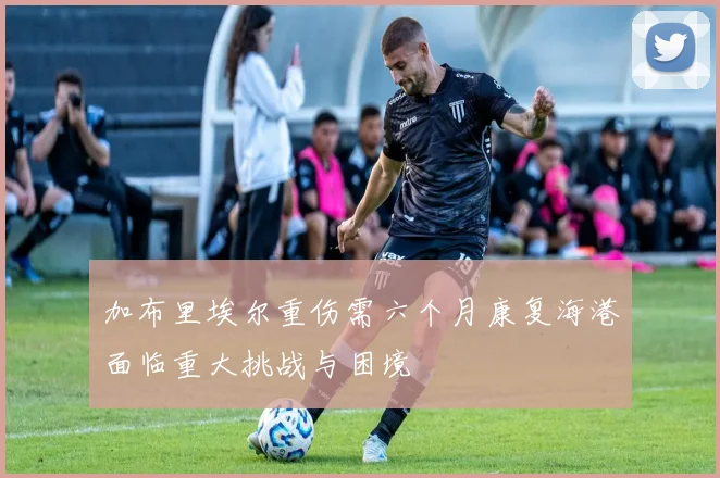 加布里埃尔重伤需六个月康复海港面临重大挑战与困境