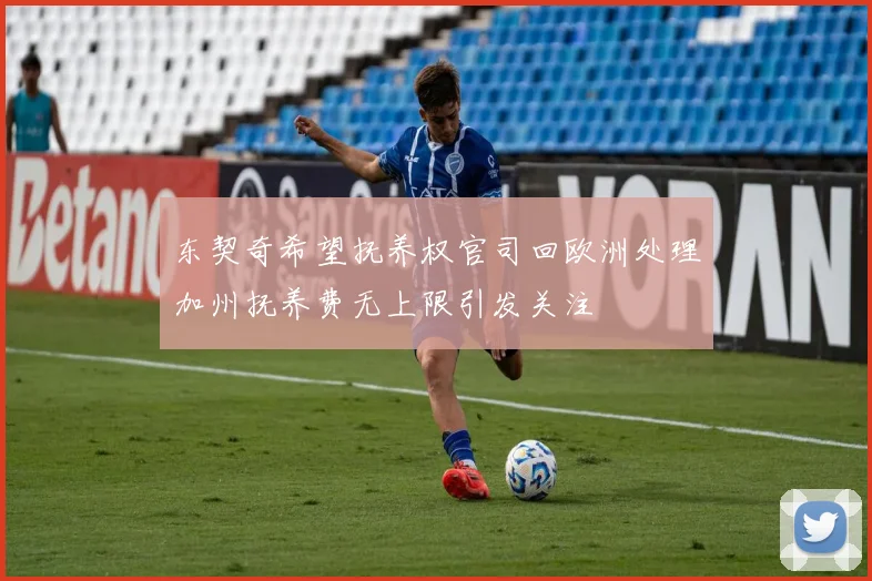东契奇希望抚养权官司回欧洲处理加州抚养费无上限引发关注