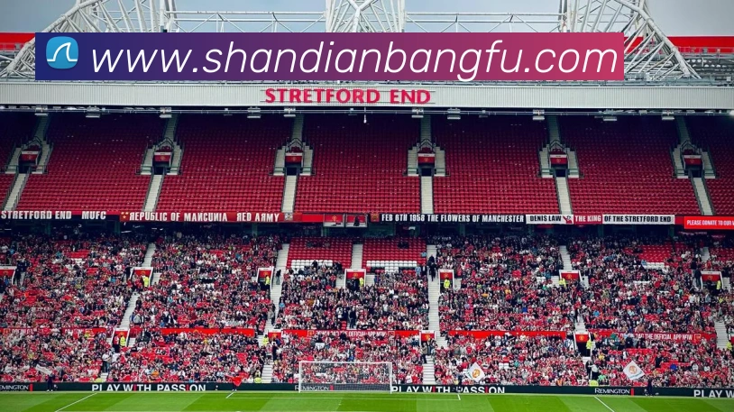 App Interface Preview