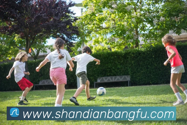 星空体育app官方入口半岛APP 封面图